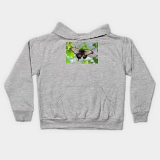 Common Mormon Butterfly - Papilio Polytes Kids Hoodie